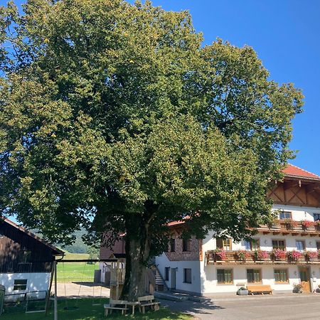 Biohof-Feichtinger Apartment Zell am Moos Exterior photo